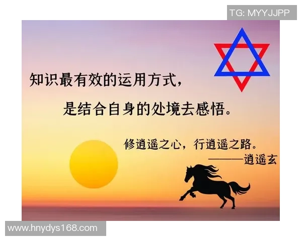 上海乒乓球队逆袭之路:战术调整与团队协作的深度剖析 上海乒乓球队逆袭之路:战术调整与团队协作的深度剖析