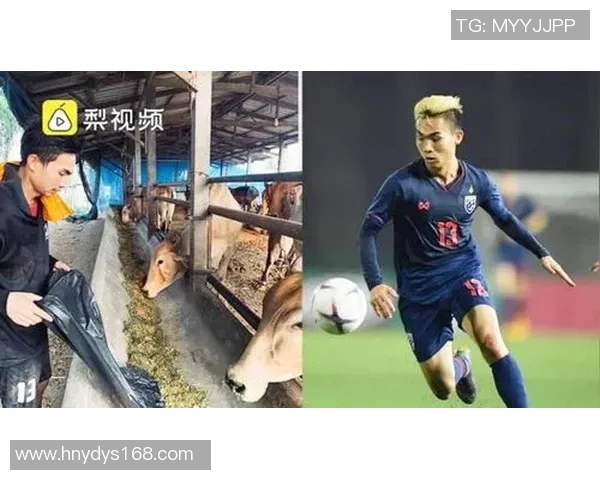 放牛的足球明星背后的故事与成就揭秘 放牛的足球明星背后的故事与成就揭秘
