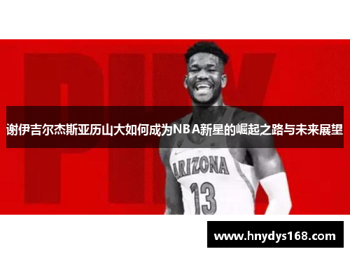 谢伊吉尔杰斯亚历山大如何成为NBA新星的崛起之路与未来展望
